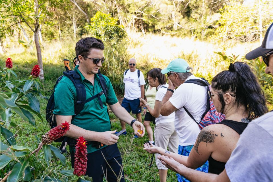 Maui: Rainforest Waterfalls Guided Hike with Picnic Lunch - What the trail is really like