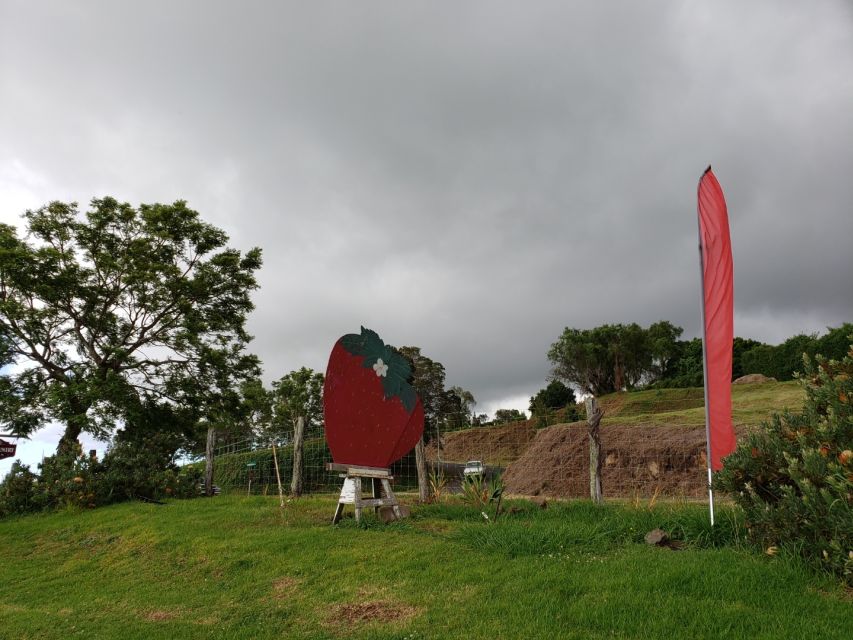 Maui: Road to Hana Adventure with Breakfast & Lunch - Pickup, timing, and cruise ship details
