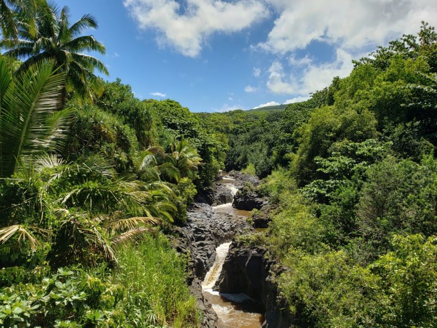 Maui: Road to Hana Adventure with Breakfast & Lunch - What you see from the van matters too