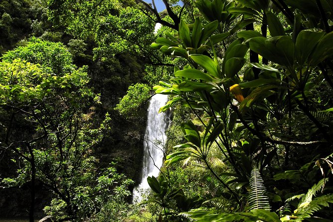 Maui: Road to Hana Luxury Limo-Van Tour with Helicopter Flight - Wai’anapanapa and Maui’s black sand beach