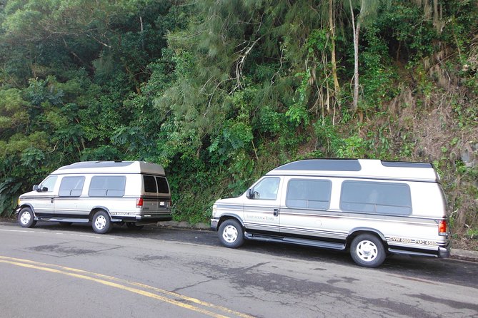 Maui: Road to Hana Luxury Limo-Van Tour with Helicopter Flight - Waterfalls, pools, and the village of Hana