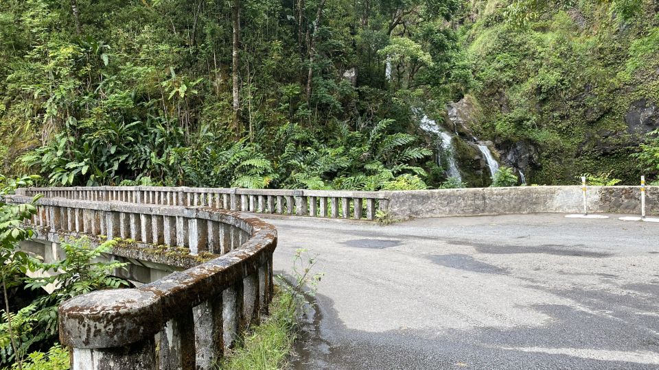 Maui: Road to Hana Private Adventure Tour with Luxury SUV - Laulima Organic Farm and Maui-grown fruit