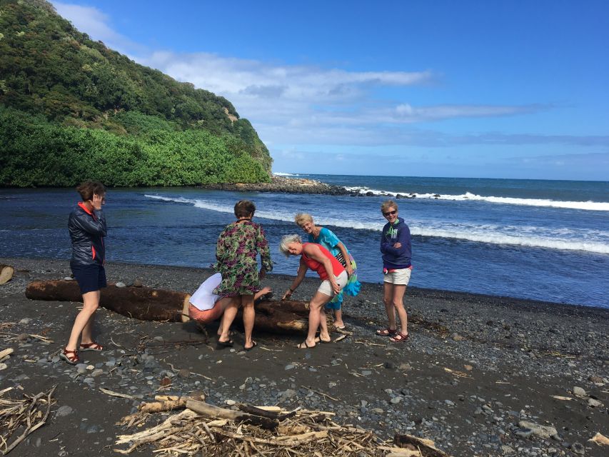 Maui: Road to Hana Private Adventure Tour with Luxury SUV - Wailua Falls and the first possible swim