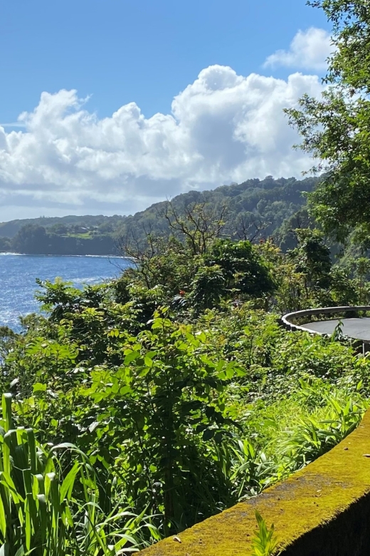 Maui: Road to Hana Private Adventure Tour with Luxury SUV - Auntie Virgie’s flower farm and the approach to Hana