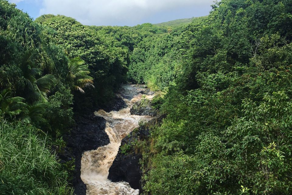 Maui: Road to Hana Sightseeing Tour - A possible swim at Pua Kaa State Park