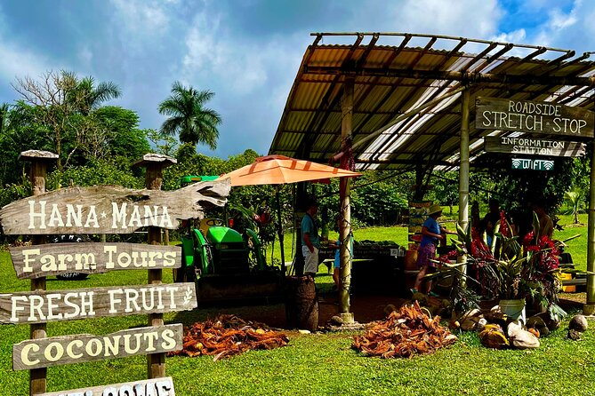 Maui Road to Hana VIP Private Tour in Convertible Bronco or Jeep - Hana town, local food, and a practical lunch stop