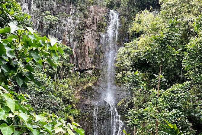 Maui Road to Hana VIP Private Tour in Convertible Bronco or Jeep - Bamboo, rainbow eucalyptus, and the first scenic miles