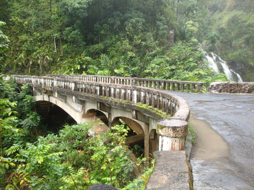 Maui: Road to Hana Waterfalls Tour with Lunch - Pua‘a Ka‘a is your main waterfall and swim break