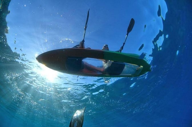 Maui's Only Clear Bottom Kayak Rental (priced per tandem kayak) - Who will enjoy this rental most