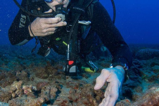 Maui Scuba Diving Introductory Lesson from Lahaina - Starting at 7:30 am in Lahaina