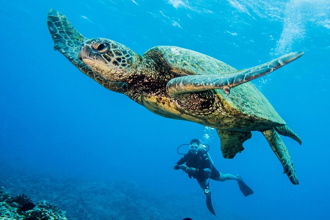 Maui Scuba Diving Introductory Lesson from Lahaina - Understanding the listed Maui locations