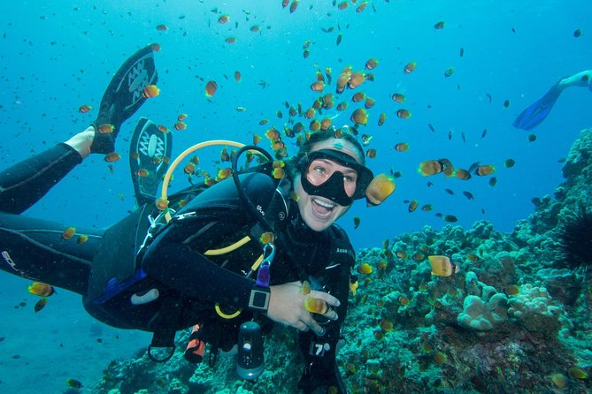 Maui Scuba Diving Introductory Lesson from Lahaina - The shore class makes the first underwater breath less strange