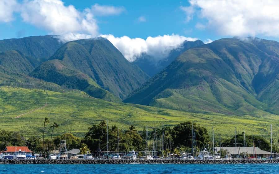 Maui: Semi-Private 3 Hour Eco-Raft Turtle Snorkel Tour - Hawaiian-style snacks after time in the water