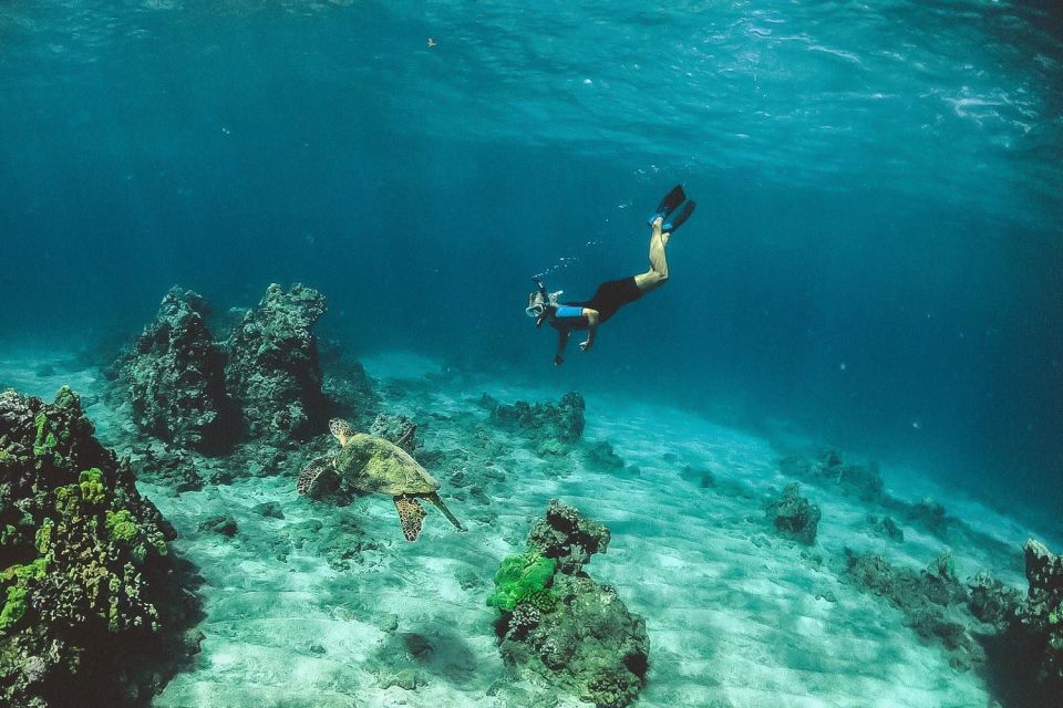 Maui: Semi-Private 3 Hour Eco-Raft Turtle Snorkel Tour - What $159 buys you