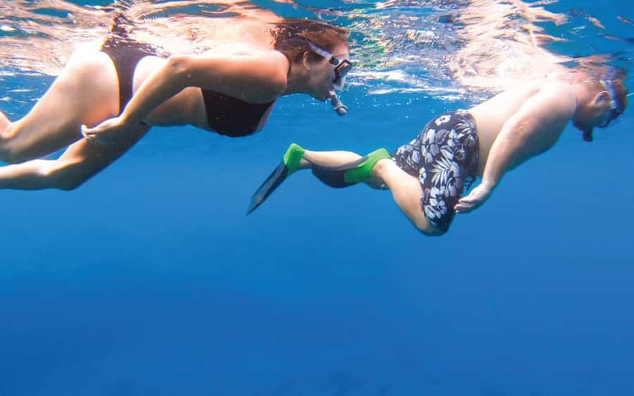 Maui: Semi-Private Eco-Raft Lanai Snorkel & Dolphin Tour - Key points at a glance