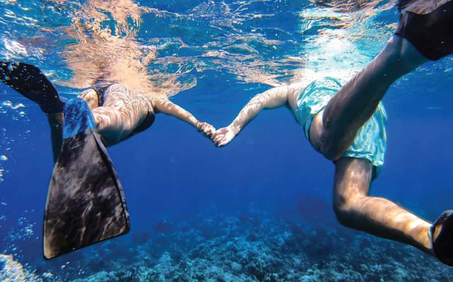 Maui: Semi-Private Eco-Raft Lanai Snorkel & Dolphin Tour - Dolphin watching and the ride home