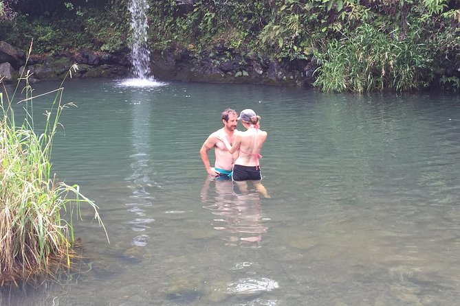 Maui Shore Excursions : Road to Hana With Pickup & Lunch - Rainbow Eucalyptus and Hana Farms