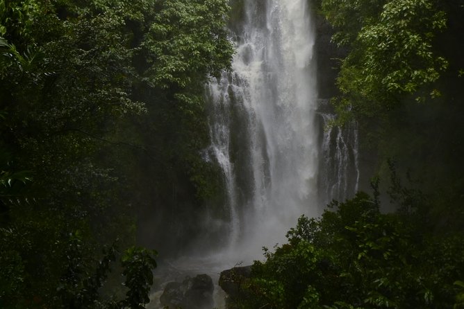 Maui Shore Excursions : Road to Hana With Pickup & Lunch - Lunch, Breakfast, Water, and What You Pay For