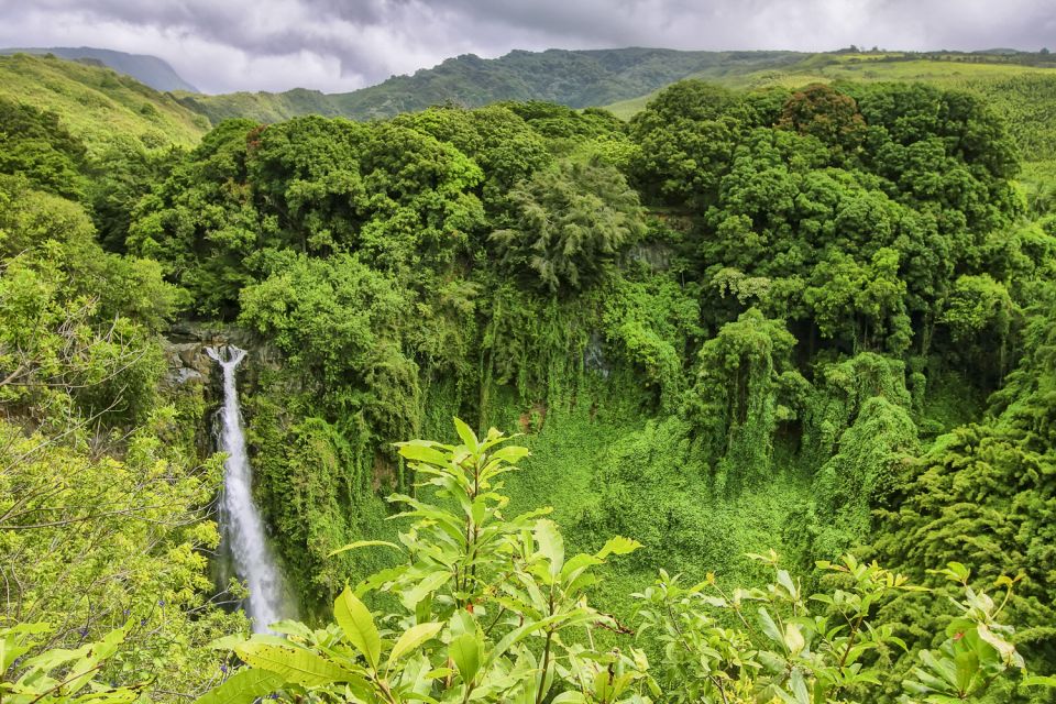 Maui: Small-Group Road to Hāna Sightseeing Tour - Why letting someone else drive makes sense