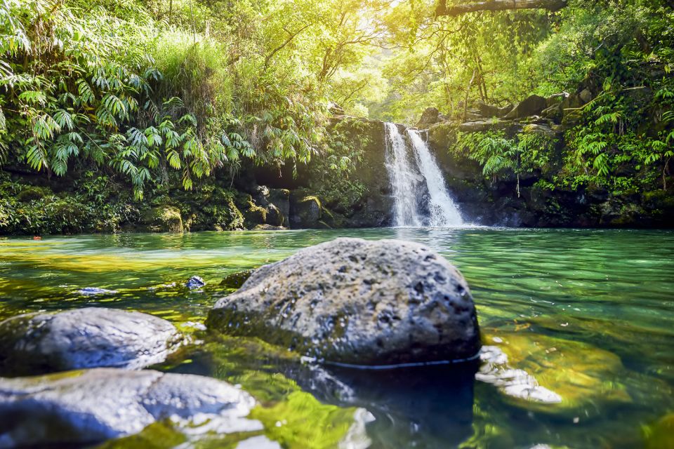 Maui: Small-Group Road to Hāna Sightseeing Tour - Waterfalls, bamboo, and time in the water