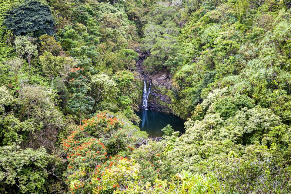 Maui: Small-Group Road to Hāna Sightseeing Tour - Lunch at an ocean overlook