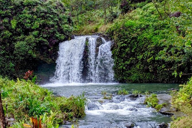 Maui: Small Group Road to Hāna Tour 6 to 8 passengers - A 7 a.m. start from Kahului