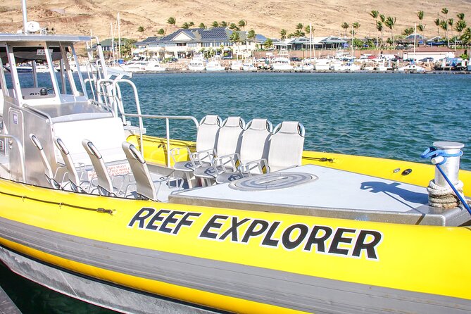 Maui Snorkel Adventure: Molokini Crater and Turtle Cove - What the four-hour schedule feels like