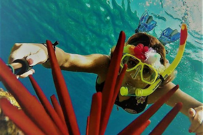 Maui Snorkel Adventure: Molokini Crater and Turtle Cove - Molokini Crater and its clear reef water