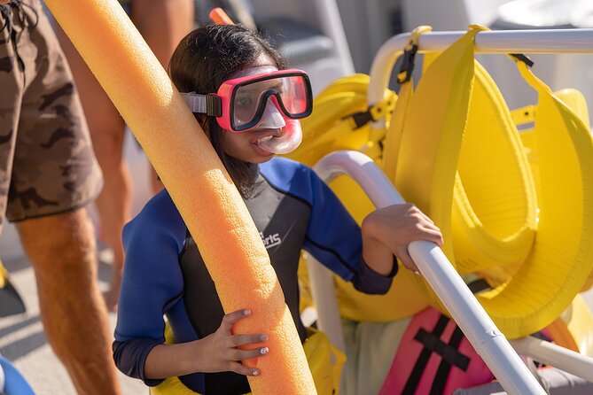 Maui Snorkeling Adventure to Molokini and Turtle Town - Wildlife can turn the boat ride into a bonus excursion