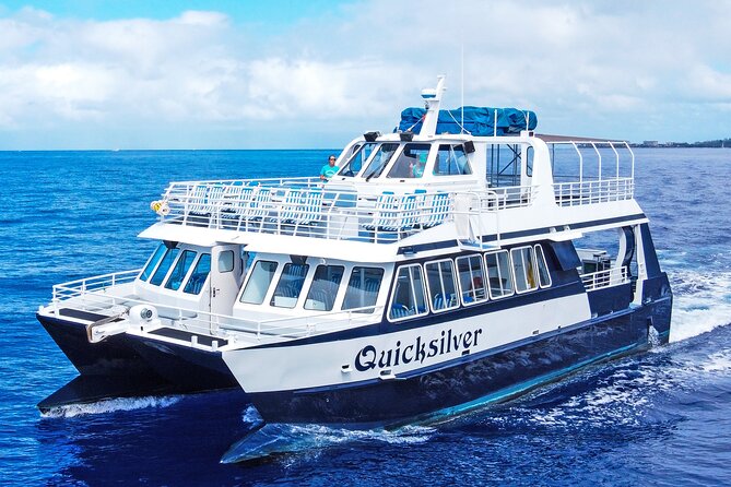 Maui Snorkeling Boat Tour to Turtle Town Aboard Quicksilver - Leaving Ma‘alaea Harbor at 9 a.m.