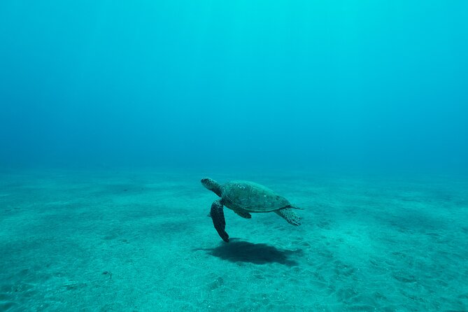 Maui Snorkeling Boat Tour to Turtle Town Aboard Quicksilver - Breakfast, lunch, and drinks onboard