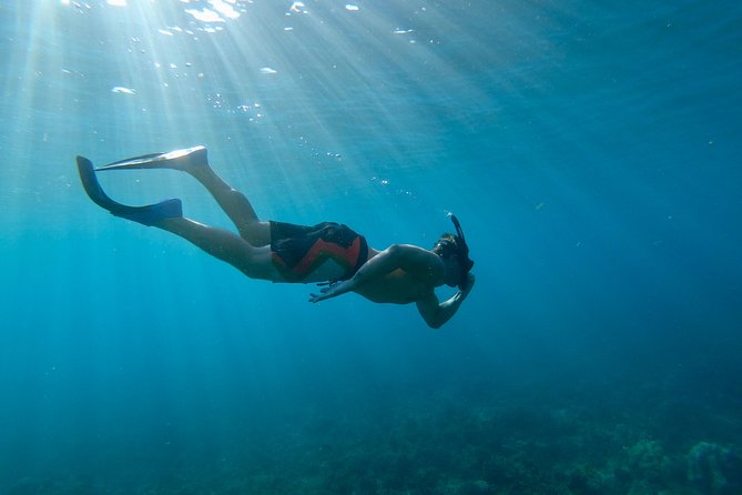 Maui Snorkeling Boat Tour to Turtle Town Aboard Quicksilver - Who will enjoy Quicksilver most?