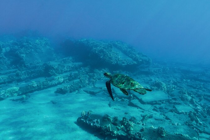 Maui Snorkeling Boat Tour to Turtle Town Aboard Quicksilver - The crossing to Lanai and the first wildlife watch