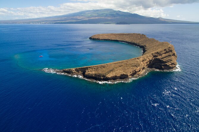 Maui South Coast and Molokini Crater Adventure from Kihei - Turtle Town and the chance to see green sea turtles