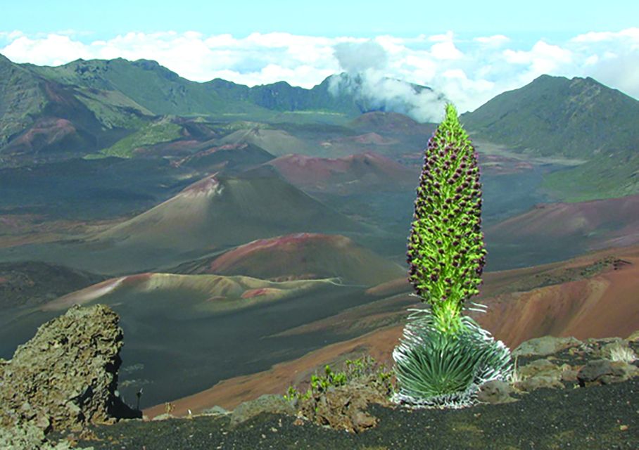 Maui: Sunset & Dinner Tour to Haleakala National Park - The climb through Kula and Haleakala’s switchbacks