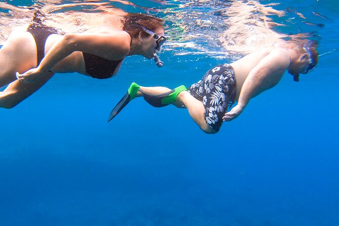 Maui to Lanai Semi-Private Eco Raft Snorkel & Dolphin Tour - What the Lanai snorkel stops offer