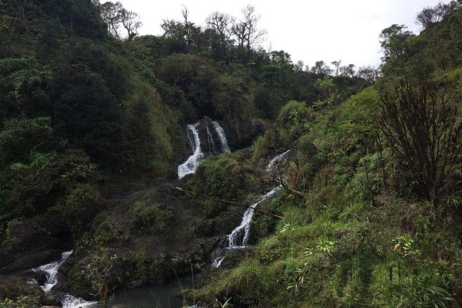 Maui Tour : Road to Hana Day Trip from Kahului Lunch, Water, Chip - Hana itself and the optional chicken stop