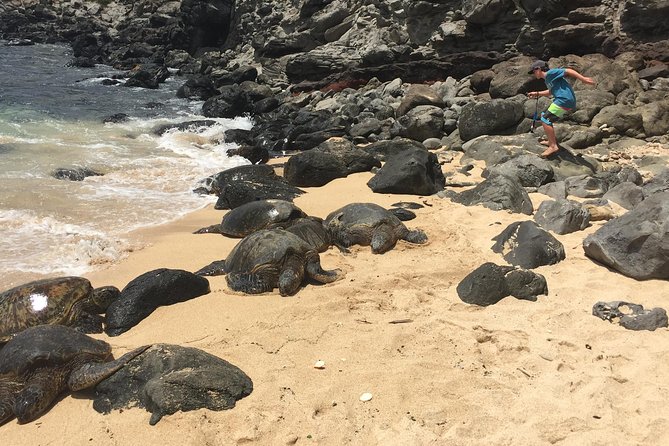 Maui Tour : Road to Hana Day Trip from Lahaina with Pick-up - Pua‘a Ka‘a State Park and a short waterfall swim