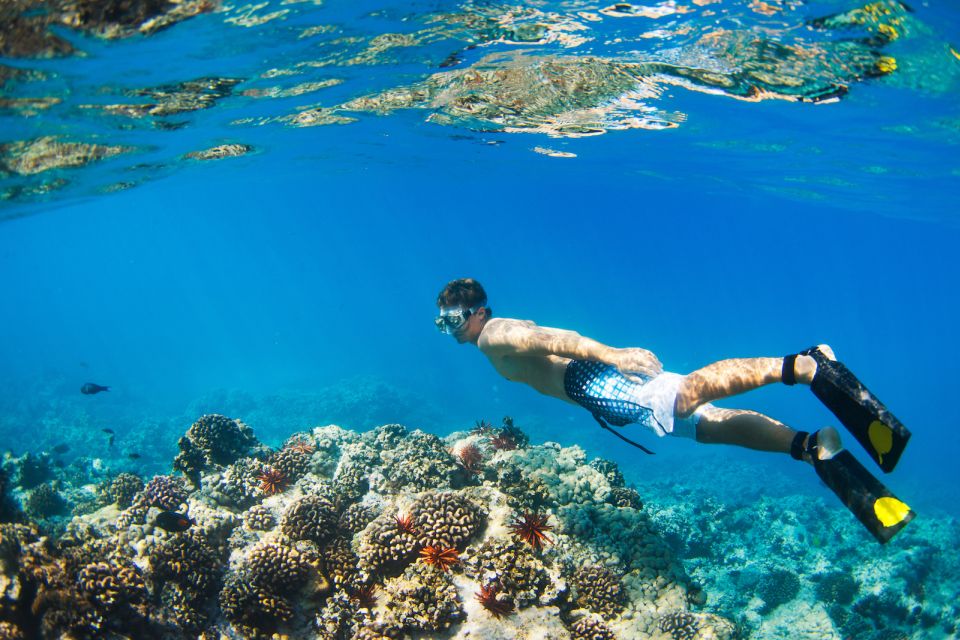 Maui: Turtle Town Kayak and Snorkel Tour - Kayaking 1.5 miles across Makena Bay