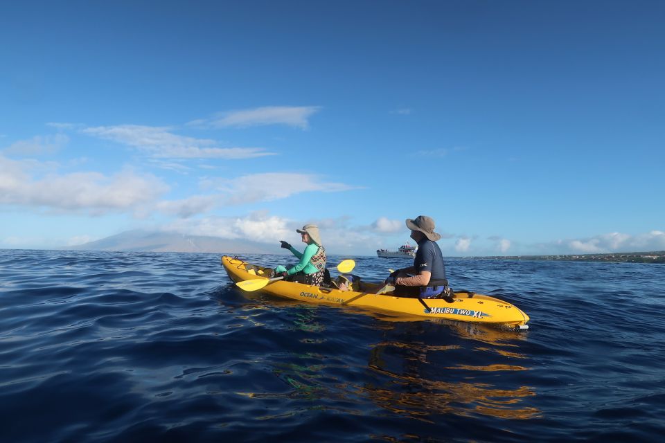 Maui: Turtle Town Kayak and Snorkel Tour - Turtle Town and its green sea turtles