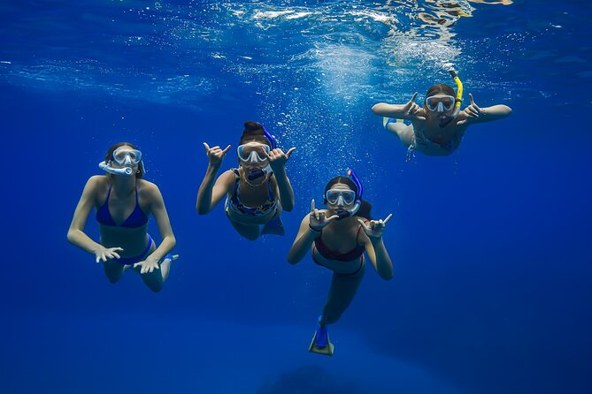 Maui: Turtle Town Snorkel with Photo and Video - What the Turtle Town outing is really like