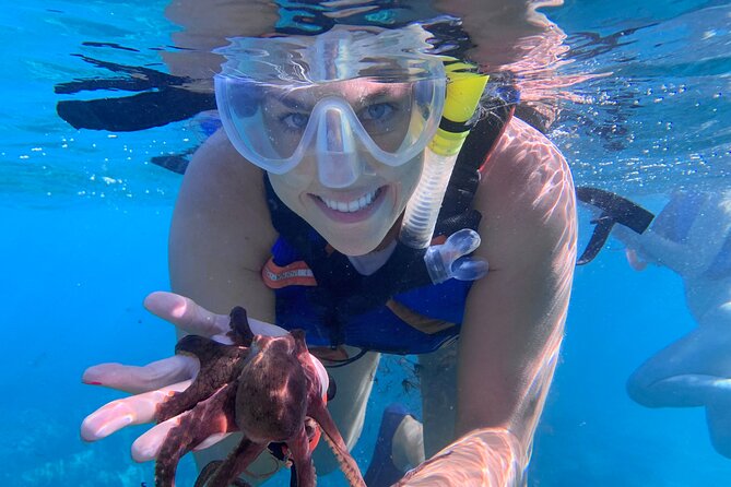 Maui: Turtle Town Snorkel with Photo and Video - Weather, location changes, and timing