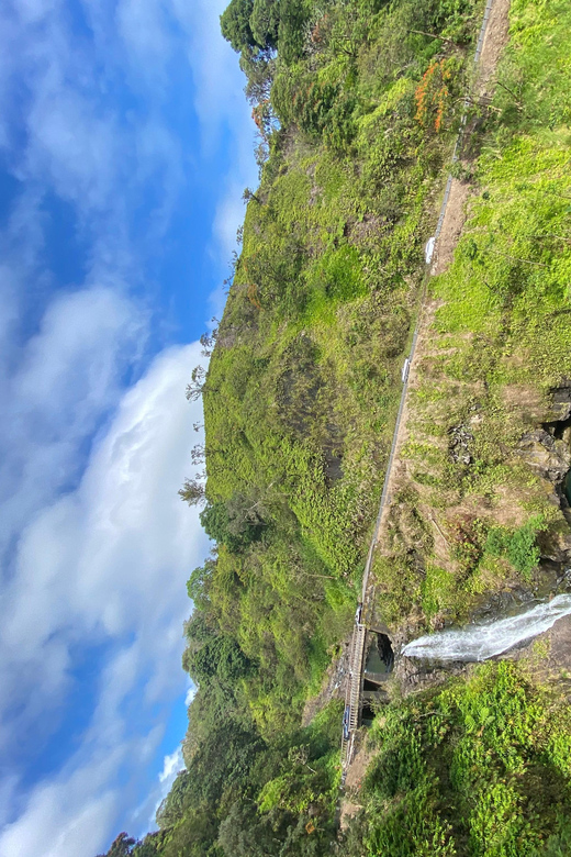 Maui: Van Day Trip to Hana with Local Guide and Lunch - The long coastal road toward Hana