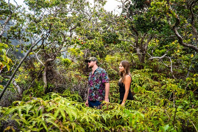 Maui: VIP Private Road to Hana Tour with Pick Up - Ho‘okipa and the ride back