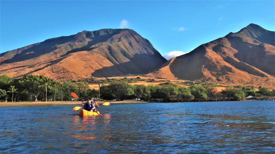 Maui: West Side Discovery Kayak & Snorkel from UKUMEHAME - Wildlife beyond the turtles