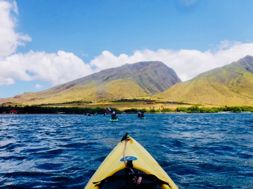 Maui: West Side Discovery Kayak & Snorkel from UKUMEHAME - Guides who make the difference