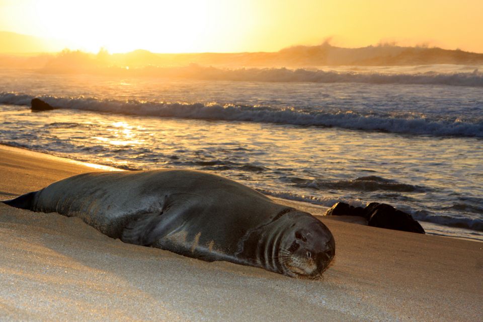 Maui: West Side Discovery Kayak & Snorkel from UKUMEHAME - What the three-hour schedule feels like