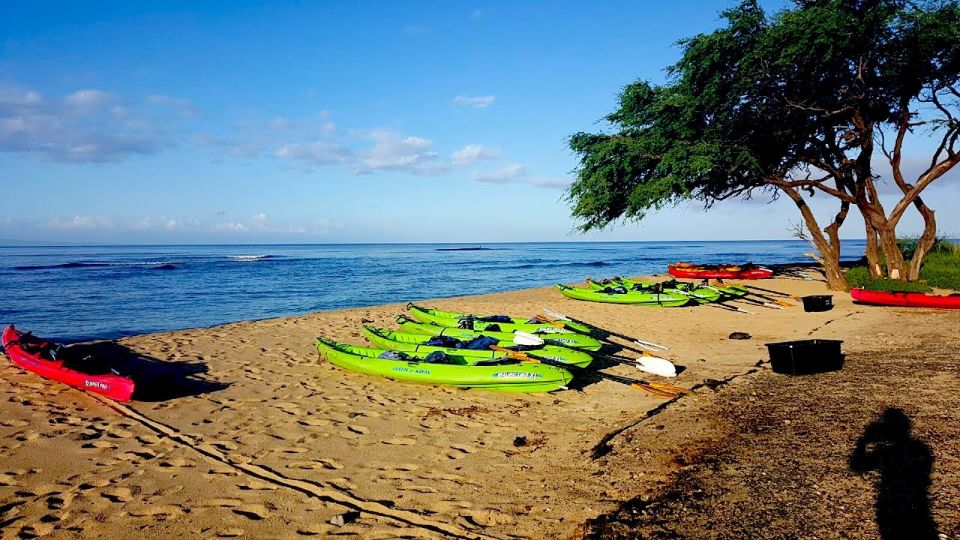 Maui: West Side Discovery Kayak & Snorkel from UKUMEHAME - Snorkeling with turtles and reef fish