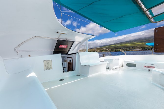 Maui: Whale Watching Cruise with Open Bar from Ka'anapali Beach - The open bar and snacks