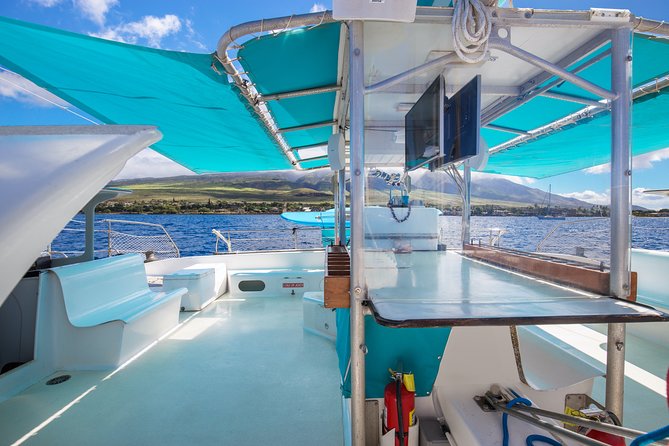 Maui: Whale Watching Cruise with Open Bar from Ka'anapali Beach - Who will enjoy this cruise most